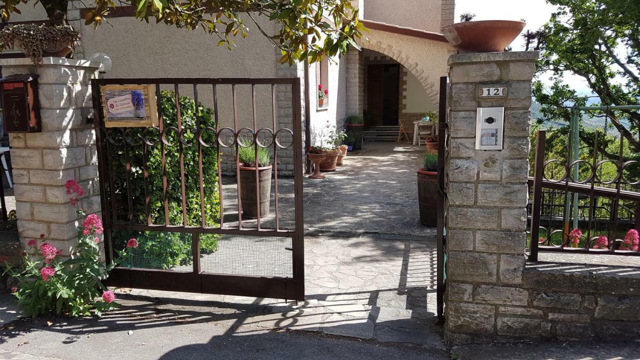Le Casette Di Civitella La Casa Di Nonna Giulia Civitella Del Lago 外观 照片