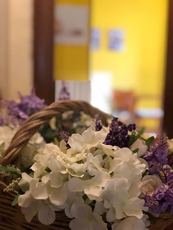 Le Casette Di Civitella La Casa Di Nonna Giulia Civitella Del Lago 外观 照片